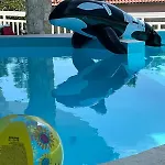 Nyaraló Art *